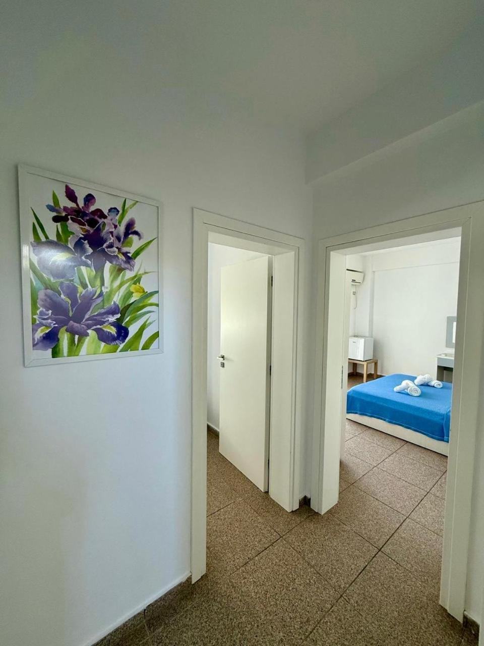 Hotel Stolis هيماري المظهر الخارجي الصورة